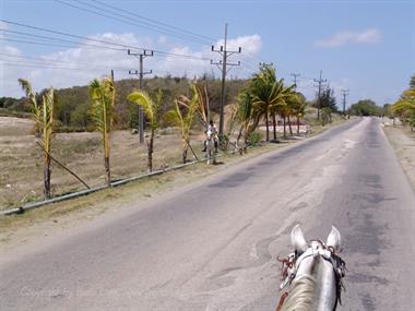 CUBA 2006 Ausflug Guardalavaca,_DSC07898b_B740